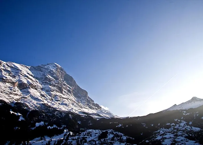 Eigerblick Appartamento Grindelwald